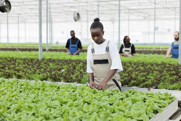 Quelles méthodes pour apprendre le chant traditionnel celtique à domicile ?